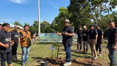 Photo of Wujud Peduli Lingkungan, Managemen PTPN IV Regional l Kebun Sei Silau Tanam Pohon di Sekitar Perusahaan