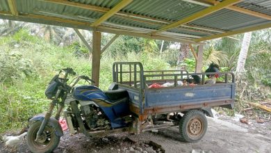 Photo of Becak Sampah Inventaris Desa Marombun Barat jadi Barang Rongsokan