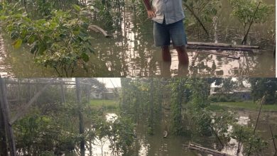 Photo of Petani Desa Kampung Kolam Keluhkan Gagal Panen Akibat Banjir dan Buruknya Sistem Drainase
