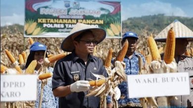Photo of Pemkab Karo Dukung Panen Jagung Gugus Tugas Polri untuk Tingkatkan Ketahanan Pangan