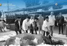Photo of Bupati Karo Serahkan Sapi Kurban Seberat 872 Kg Bantuan Presiden RI ke Masjid Agung Kabanjahe