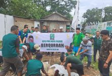 Photo of Iduladha 1446 H, DPC PKB Kota Medan Sembelih Hewan Kurban, Ketum PKB Sumbang Satu Sapi