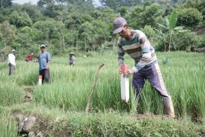 Canangkan GEMAPATAS