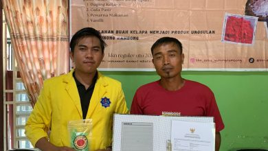 Photo of KKN Mahasiswa UTU, Bimbing Masyarakat Gampong Gunung Rambong Produksi Manisan Kelapa Kering