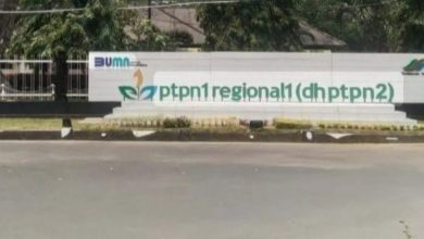 Photo of Perintah Tegas Presiden Prabowo Jadi Momentum PTPN 1 Regional 1 Benahi Aset