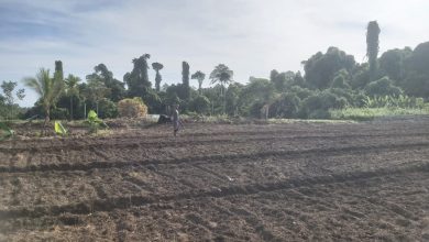 Photo of Terbongkar, Ciputra Kuasai 8.077,76 Hektare Lahan HGU PTPN2 di Deli Serdang, Ini Lokasinya