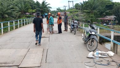 Photo of Kadis SDABMBK Deli Serdang Janso Sipahutar Respon Cepat Lakukan Pemeliharaan Jembatan Rantau Panjang