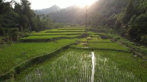 Pembangunan Berkeadilan