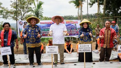 Photo of Bupati Canangkan Sibolangit Jadi Sentra Cabai dan Kawasan Wisata