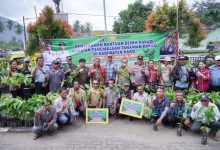 Photo of Bupati Karo Serahkan Bibit Kakao 100.000 Batang kepada Kelompok Tani