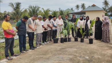 Photo of Tanam Kelapa di Pondok Pesantren Pematang Biara, Sinergi untuk Ketahanan Ekonomi Ummat