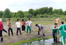 Photo of Guru dan Siswa SMA Muhammadiyah 1 Banda Aceh Menanam Mangrove untuk Menjaga Iklim