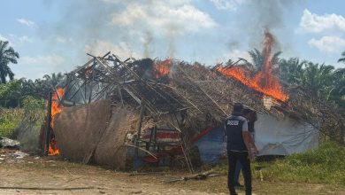 Photo of Barak Narkoba di Binjai Selatan Kembali Digrebek Dan Dimusnahkan Polres Binjai