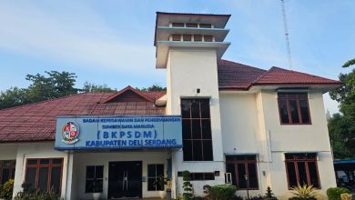 Photo of Bidan Farida Tidak Lulus Ujian Penyesuaian Kenaikan Pangkat, BKPSDM: Layanan Kepegawaian Dipersulit & Pungli Tidak Benar