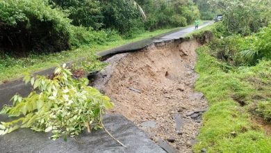 Photo of Jalan Provinsi Panti Simpang Empat Sumbar Longsor, Arus Transportasi  Terputus