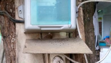 Photo of Meteran PLN Ditemukan Terpasang di Pohon, Warga Lubuk Pakam Pertanyakan Keselamatan Instalasi