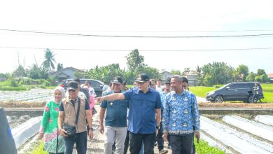 Photo of Pemkab Deli Serdang Terus Perkuat Sektor Pertanian, Jaga Stabilitas Pasokan & Harga Pangan