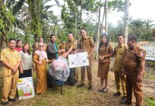 Photo of Gerakan Tanam Cabai Merah Langkah Konkret Tingkatkan Ketahanan Pangan