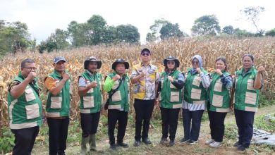 Photo of Pemkab Karo dan Polres Karo Bersinergi Wujudkan Ketahanan Pangan, Panen Raya Jagung Serentak di Tigapanah