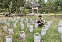 Photo of Gagasan Kapolda Aceh Tunjukkan Hasil, Lumpur Banjir Ternyata Bisa Jadi Media Tanam Produktif