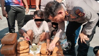 Photo of Polres Aceh Tenggara Gagalkan Peredaran 50,7 Kg Ganja, Dua Pelaku Diamankan