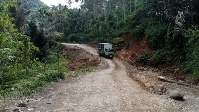 Photo of ‎Jalan Provinsi Rusak Parah, Masyarakat Desak PUPR Sumbar Segera Bertindak