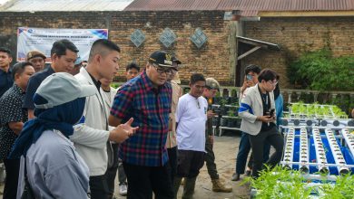 Photo of Tanam Bawang di Sunggal, Bupati Deli Serdang Dukung Inovasi ASTA DS Sauce Produk Putra Daerah
