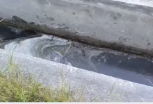 Photo of Terdapat Bau Amis di Balik Piring Makan Gratis, BGN Sumut Ancam Segel SPPG yang Tidak Patuhi Aturan Sanitasi