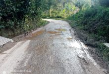Photo of Kondisi Jalan Kabupaten di Dua Koto Memprihatinkan, Warga Keluhkan Banyaknya Lubang yang Menganga
