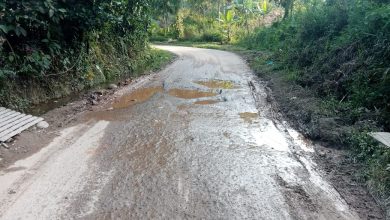 Photo of Kondisi Jalan Kabupaten di Dua Koto Memprihatinkan, Warga Keluhkan Banyaknya Lubang yang Menganga