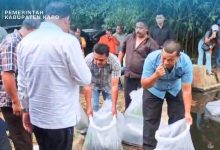 Photo of Tingkatkan Ketahanan Pangan, Pemkab Karo Restocking Benih Ikan Nila di Embung Desa Talimbaru