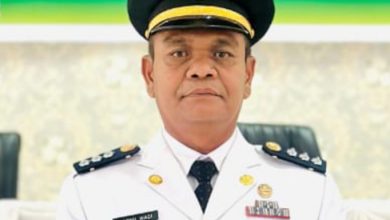 Photo of Gerak Cepat Camat Dua Koto, Dorong Kemajuan Petani Setelah Dilantik   Bupati Welly Suhery