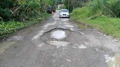 Photo of Jalan Penghubung Andilan–Padang Panjang Dua Koto Rusak Parah, Warga Minta Perbaikan Segera