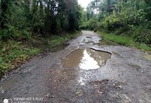 Photo of Wali Nagari dan Masyarakat Apresiasi Pemberitaan Jalan Rusak di Dua Koto, Harap Segera Diperbaiki