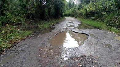 Photo of Wali Nagari dan Masyarakat Apresiasi Pemberitaan Jalan Rusak di Dua Koto, Harap Segera Diperbaiki