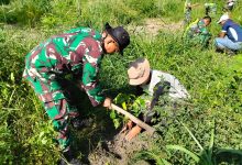 Photo of Cegah Erosi dan Mitigasi Bencana, Koramil 02/WPS Hijaukan Bantaran Sungai Redelong
