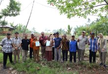 Photo of Reforma Agraria Desa Soso, Menguatkan Peran Petani Perempuan Menuju Kesejahteraan