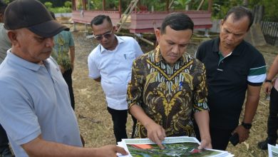 Photo of Wagub Aceh Tinjau Jalan IJD PUPR di Kembang Tanjong, Dorong Penyempurnaan Infrastruktur