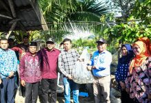 Photo of Ke Hamparan Perak, Bupati Tinjau TPI Paluh Manan Hingga Serahkan Bantuan RTLH