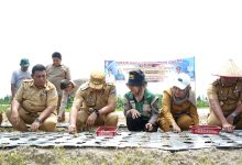 Photo of Bupati Percepat Modernisasi Pertanian Demi Efisiensi dan Produktivitas