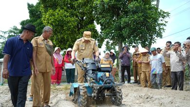 Photo of Bupati dr H Asri Ludin Tambunan Percepat Modernisasi Pertanian Demi Efisiensi dan Produktivitas