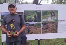Photo of Pewarta Foto Aceh Raih APFI 2026