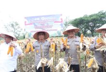 Photo of Kapolda Aceh Hadiri Panen Raya Jagung Serentak Kuartal II dan Salurkan Bibit Jagung kepada Kelompok Tani di Aceh Singkil