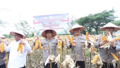 Photo of Kapolda Aceh Hadiri Panen Raya Jagung Serentak Kuartal II dan Salurkan Bibit Jagung kepada Kelompok Tani di Aceh Singkil