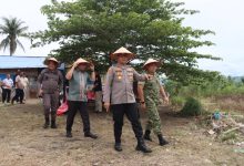 Photo of Tingkatkan Ketahanan Pangan Nasional, Forkopimda Karo Panen Raya Jagung Secara Serentak