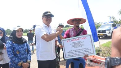 Photo of Tanam Cabai di Sunggal, Bupati Tindaklanjuti Keluhan Petani Soal Irigasi