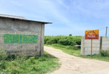 Photo of Warga Pantai Labu Sorot Dana Desa Rugemuk, Diduga Dipakai Bangun Jalan Diatas Lahan Pribadi