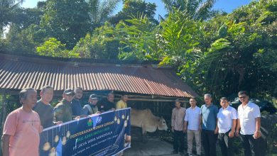 Photo of Sambut Idul Adha 1447 H, PT Jaya Wira Manggala Salurkan Hewan Kurban untuk Warga Kuta Tengah Langkat