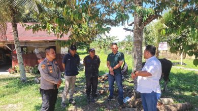 Photo of Sambut Idul Adha, PT Jaya Wira Manggala Cabang Medan Salurkan Hewan Kurban di Padang Lawas Utara