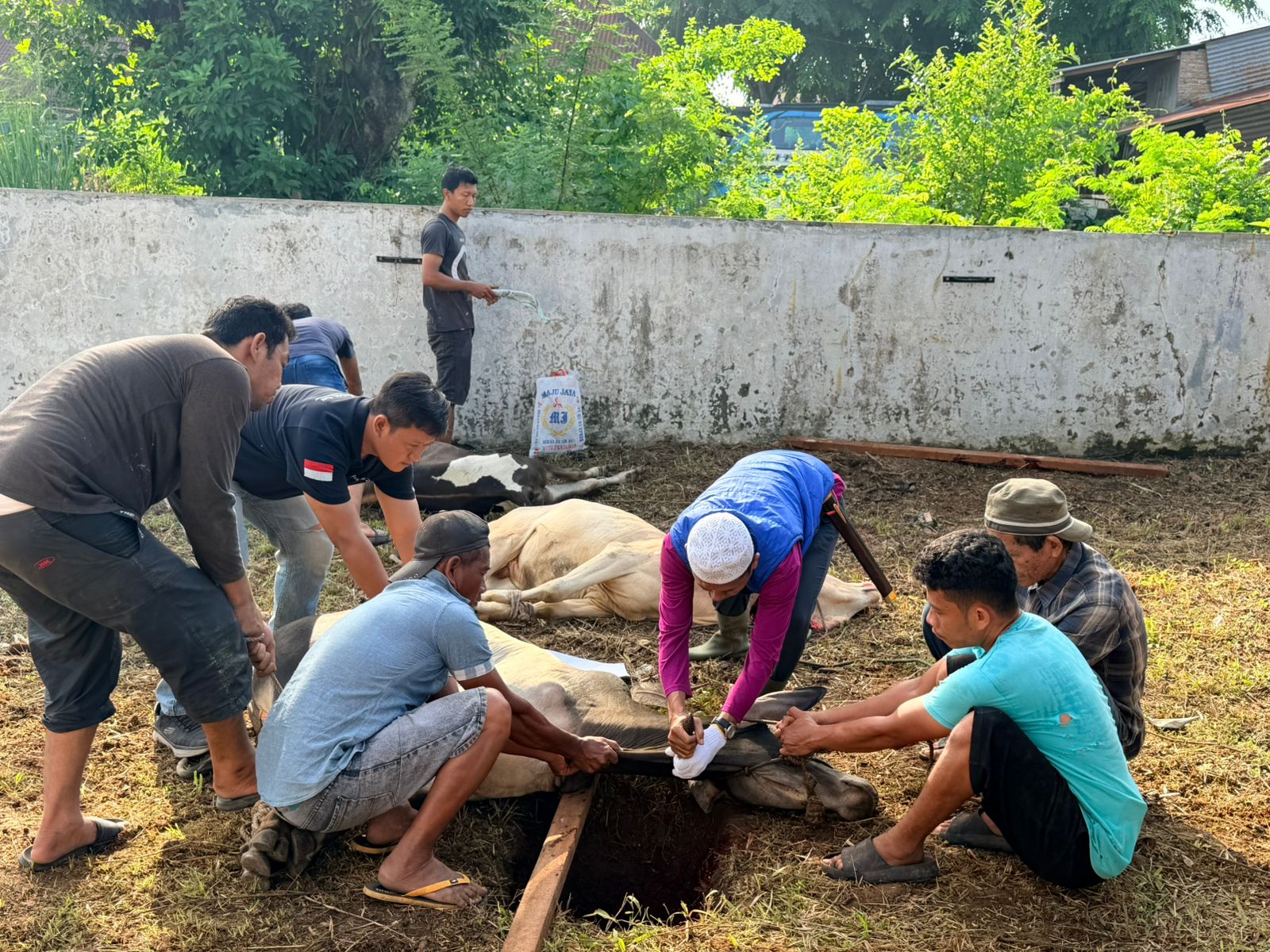 Kurban BPN Sumut